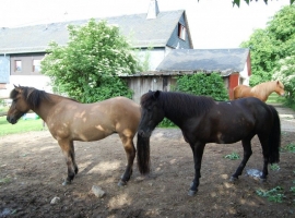 Foto 20