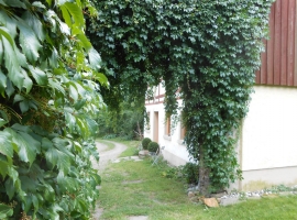 Foto 23
