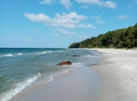 Foto 6