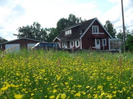 Ruhe und Natur, denn die nächste Straße ist weit entfernt