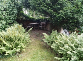 Foto 9