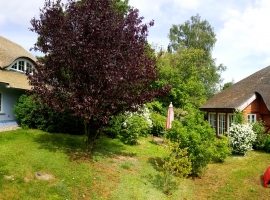 Ferienwohnung Typ D - Foto 2