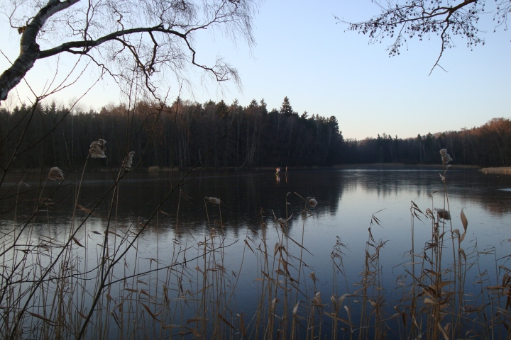 Auf den Teichen des Ortes ist Schlittschuhlaufen möglich.