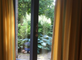 Foto 15