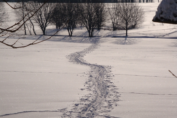 Bei ausreichend Schnee ist Langlauf vom Haus aus möglich.