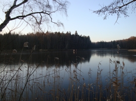 Foto 23