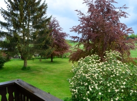 Foto 22