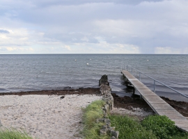 Naturstrand mit eignen Badesteg