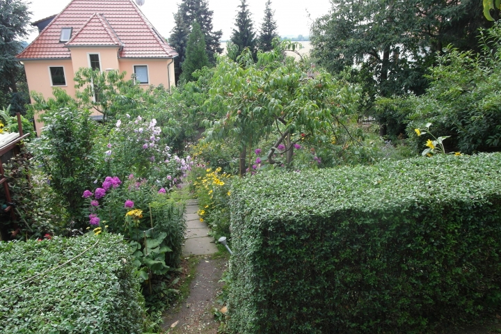 Blick von der Terrasse in den Garten.