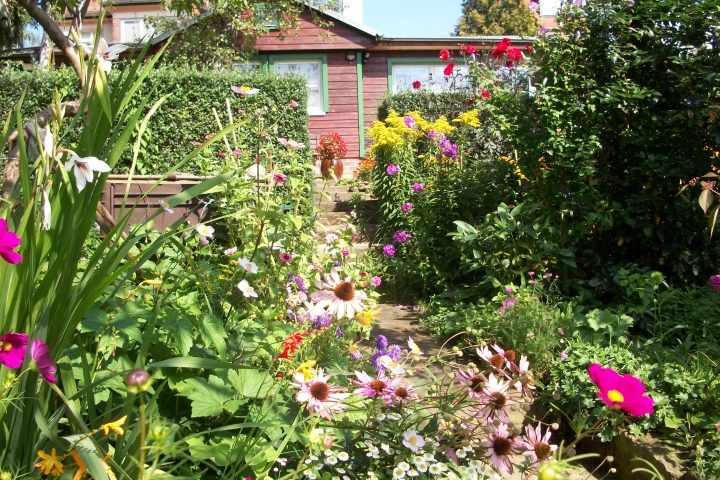 Wege durch den Garten