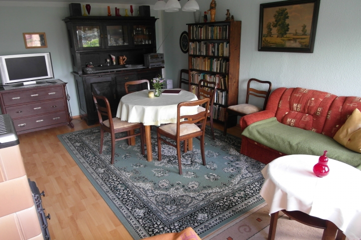 Wohnzimmer: über 300 Bücher zum Lesen und Anschauen; Flachbild-Fernseher