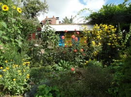 Foto 15