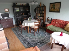 Wohnzimmer: über 300 Bücher zum Lesen und Anschauen; Flachbild-Fernseher