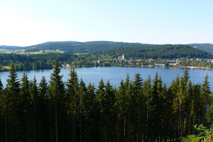 Blick auf den Titisee