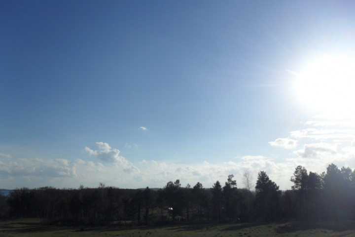 Blick ins Grüne vom Balkon