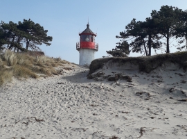 Foto 20