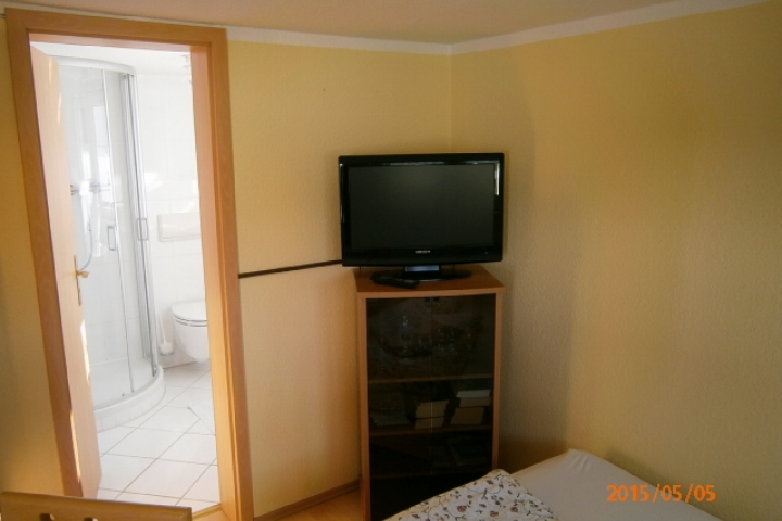 Flachbild TV mit DVD Player, im Vitrienenschrank Gläser,Bücher und DVD Welche Sie bei uns ausleihen können .