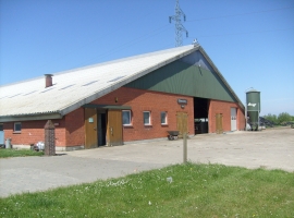 Foto 3