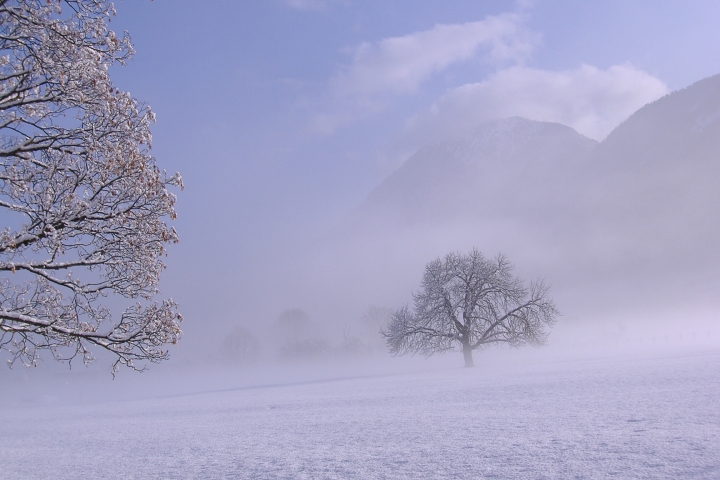 .... und im Winter
