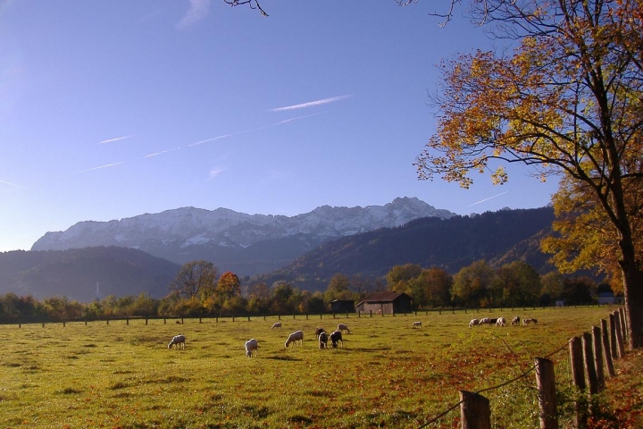 Wiese gegenüber unseres Hauses (