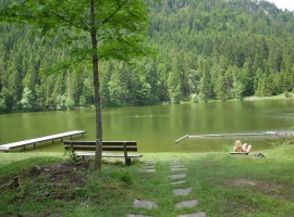 am Pflegersee