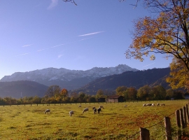 Wiese gegenüber unseres Hauses (