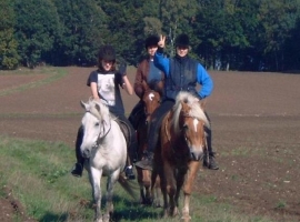 Reiten für Kinder und Jugendliche.Alleine Reitem im Gelände und Unterricht möglich. 