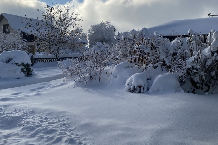 Blick aus dem Ferienhaus