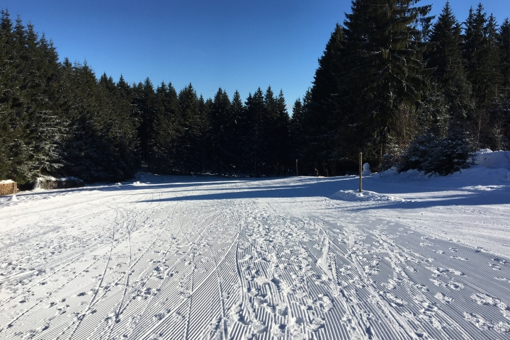 Rodelhang am Ortseingang