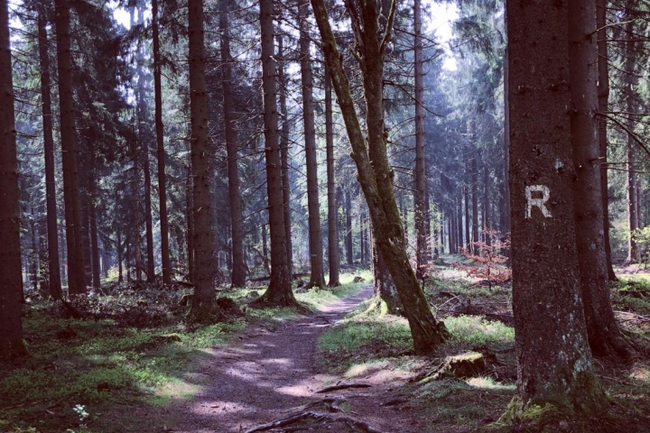 Wandern auf dem Rennsteig