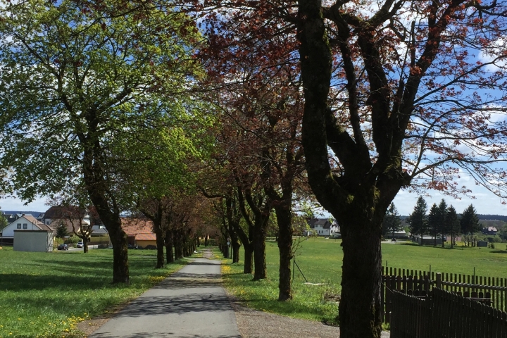 Fahrradweg