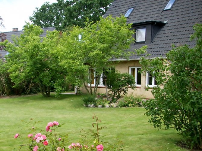 Große Ferienwohnung mit Garten | Herrlich ruhiges und schönes Gartengrundstück mit ca. 2.000 qm