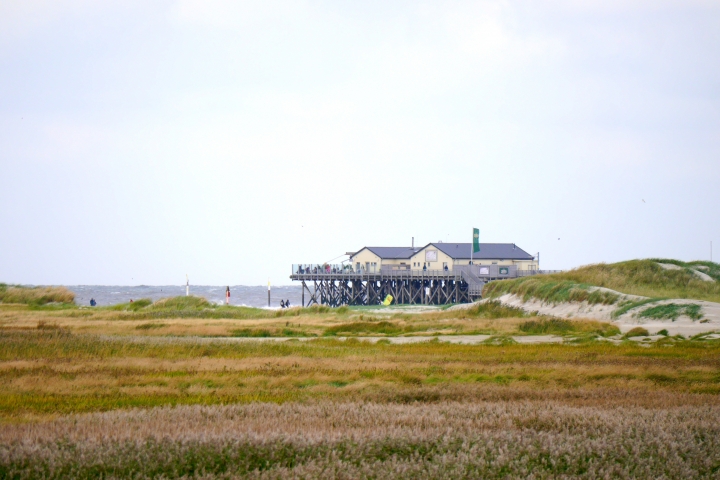 Dünen und Strand in St. Peter-Ording