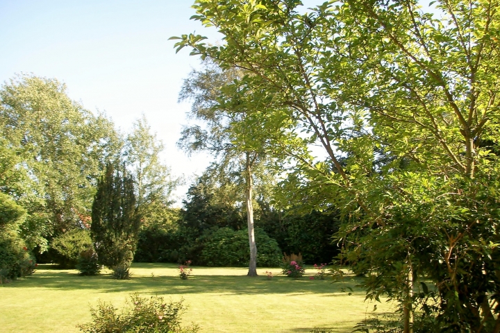 Der Blick von der Südterrasse in den Garten