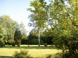 Foto 11