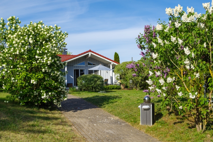 Blick vom Garten auf 