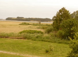 Foto 10