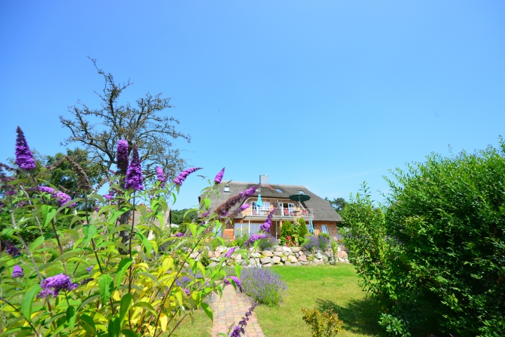 Blick vom Garten zum Haus