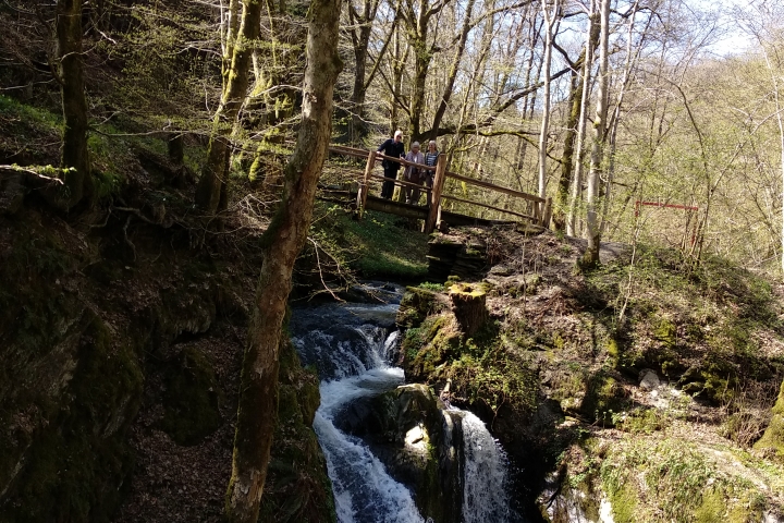 Am Wanderweg die wilde Endert, in der Nähe vom Kloster Maria Martental