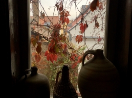 Foto 9