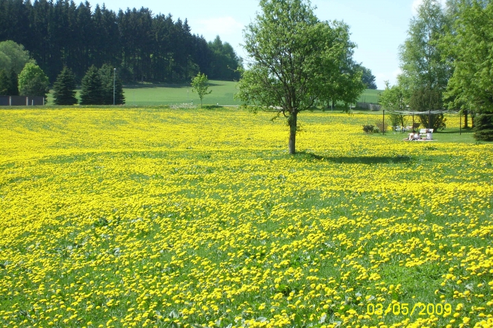 Frühling