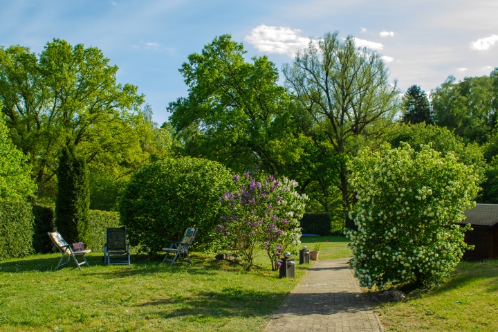 Blick in den großzügigen Garten