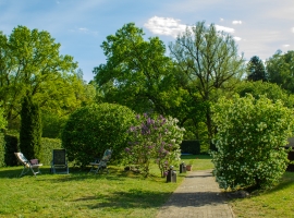 Blick in den großzügigen Garten