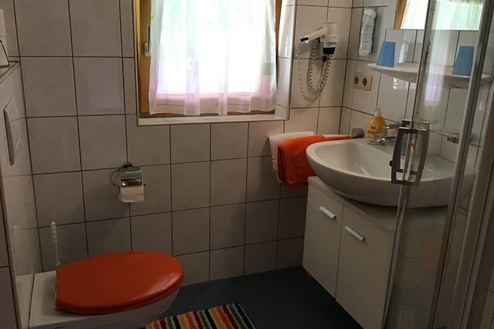 WC mit Dusche und Haarfön