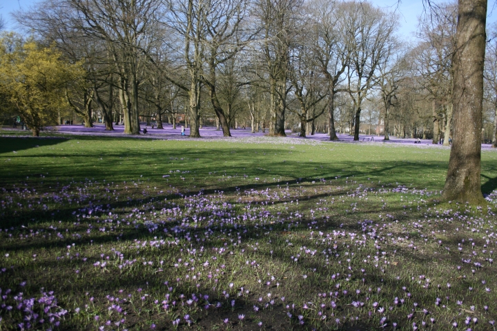 Schloßpark