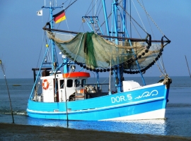 Kutter läuft in den Kutterhafen von Dorum-Neufeld ein