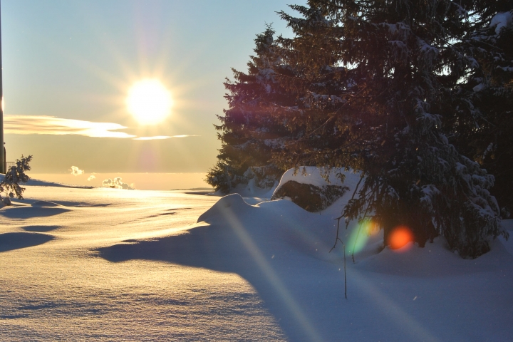Winterabendsonne