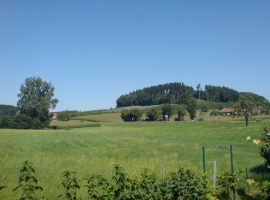 Aussicht von der Terrasse