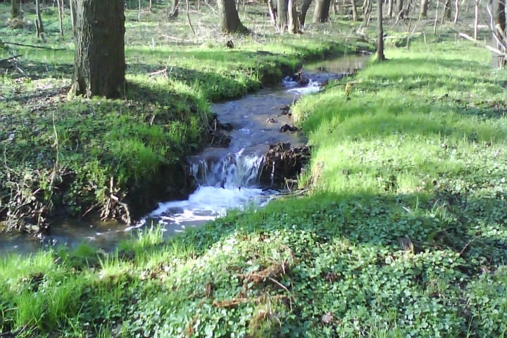 Spaziergang im Kaitztal, ca. 1,5 km