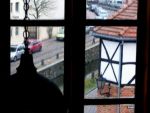Blick aus dem Fenster in die Altstadt, Frische Grube und 
Ziegenmarkt